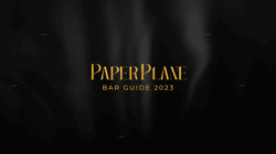PaperPlane by FlyingClub.io