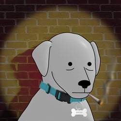Gray Doge