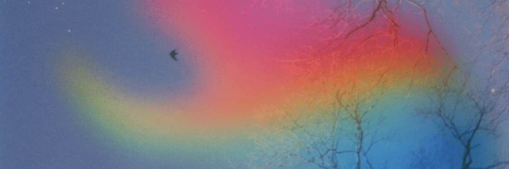 Manifestation Editions