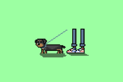 PetPerson