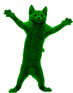 MiaowMiaowCat