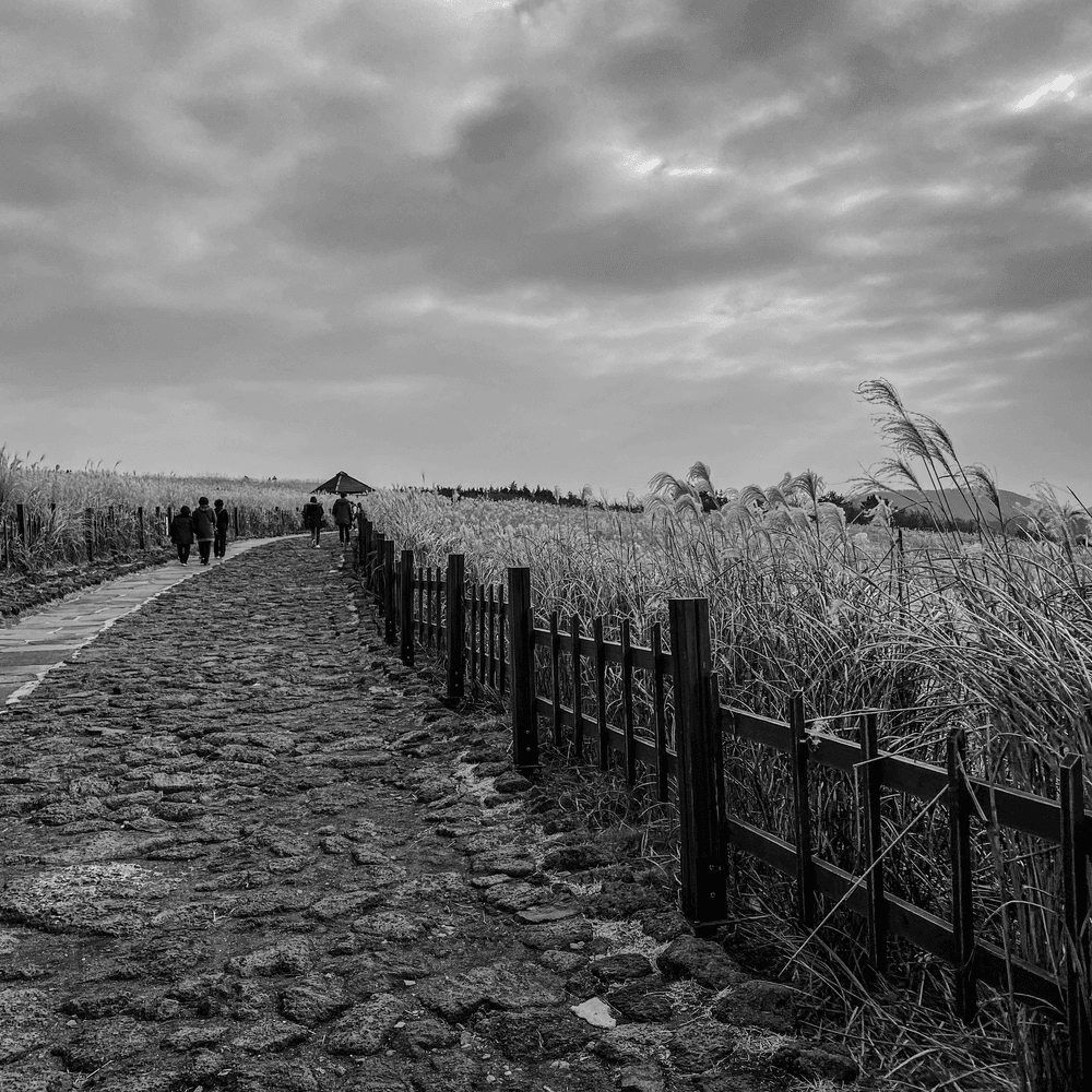 My Great Korean Escape (B&W)