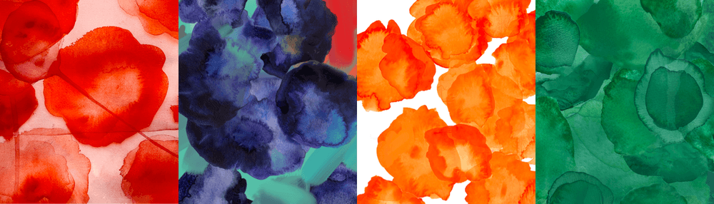 The Colors of Sex