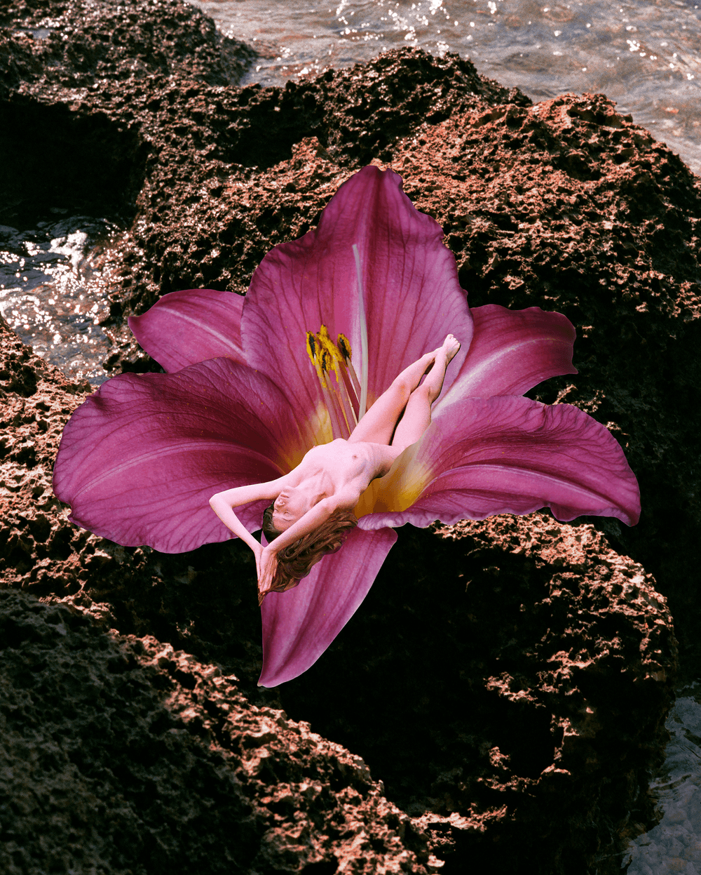 Flowermania V2