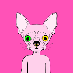 Chihuahua Gang GiF Club