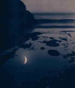 Tide Pools by Matt Kane