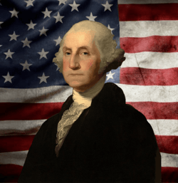 The Washington Digital Trading Cards