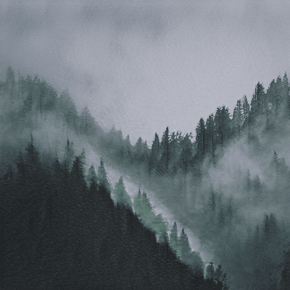 //CWS. x Ivona Tau