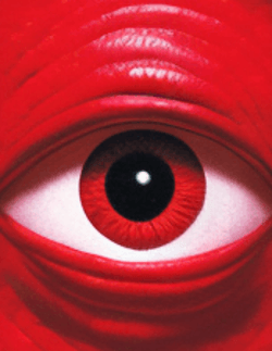 Fragments in RED