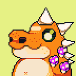 Cranky Crocz