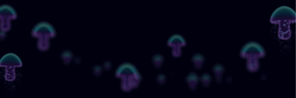 ShroomDK by Flipside Crypto