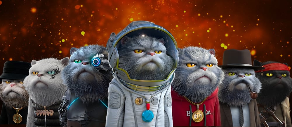 Bored Cat Origins
