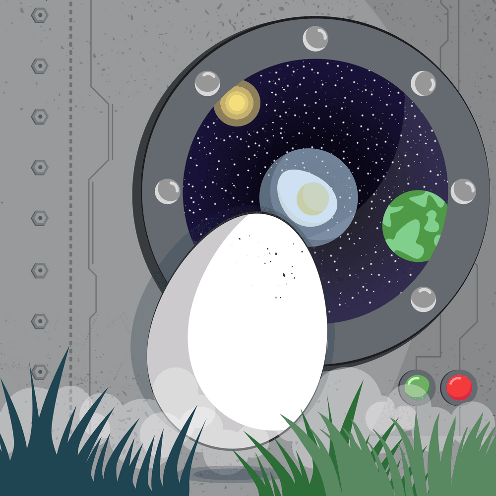 SPACE EGG #860