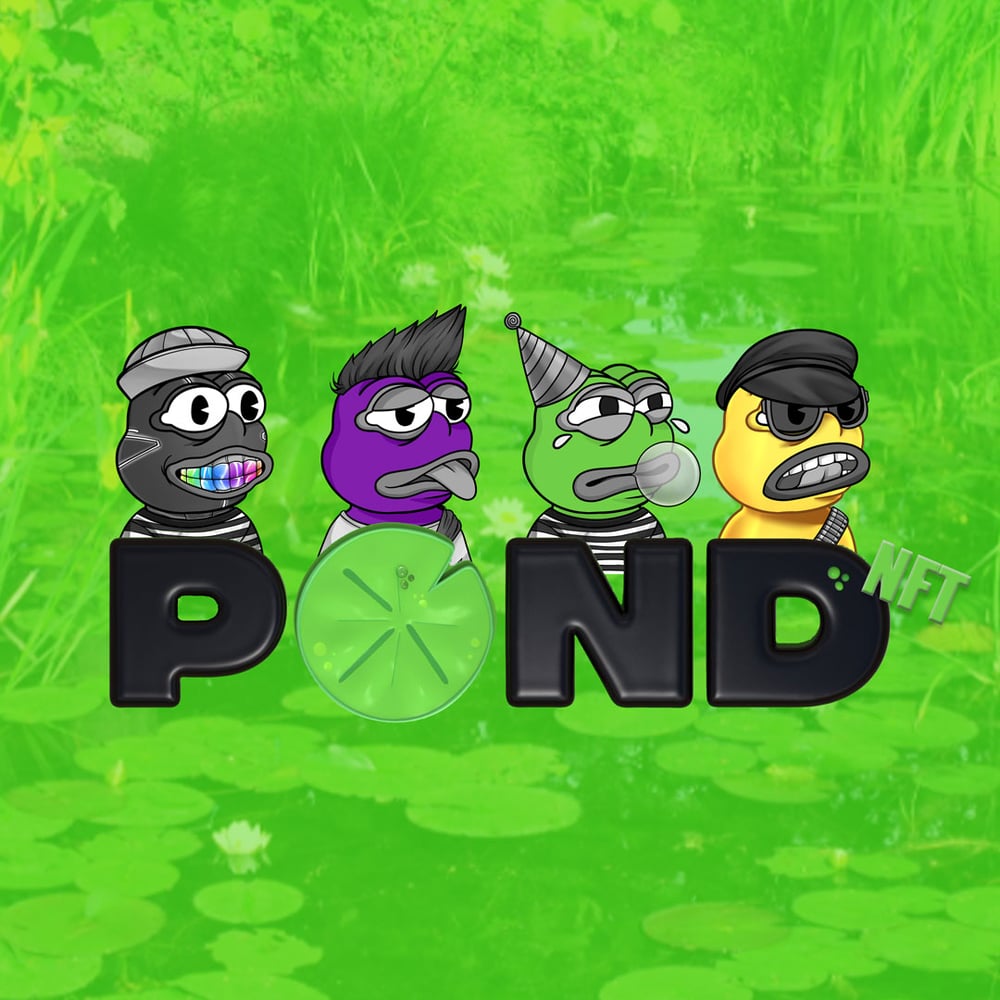 The Pond