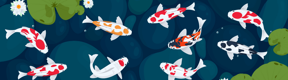 Asian Lucky Koi Ponds