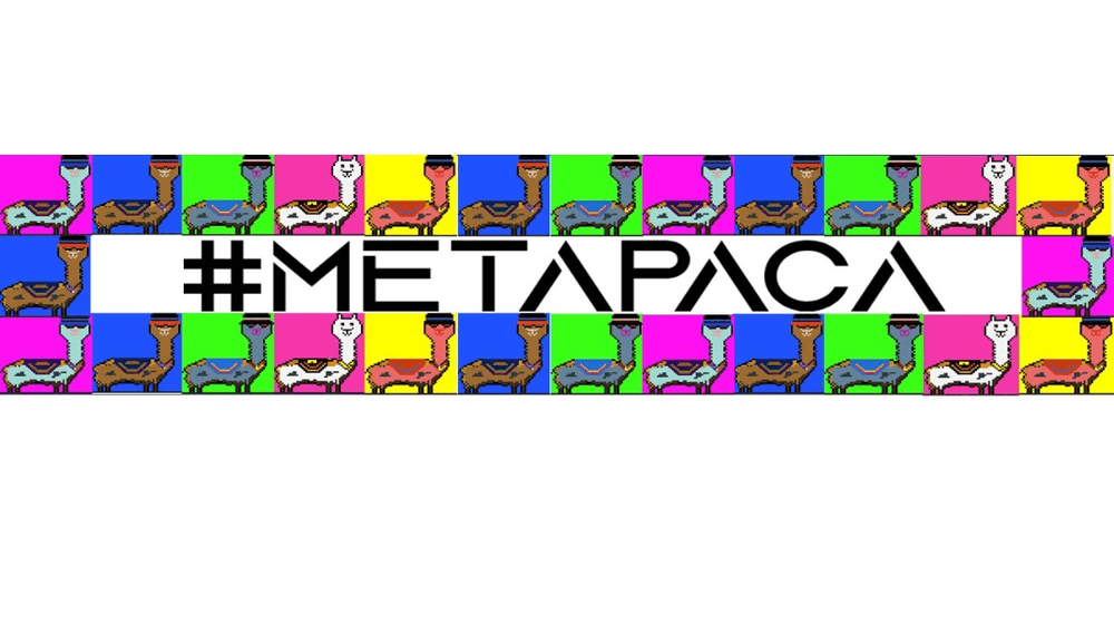 Metapaca