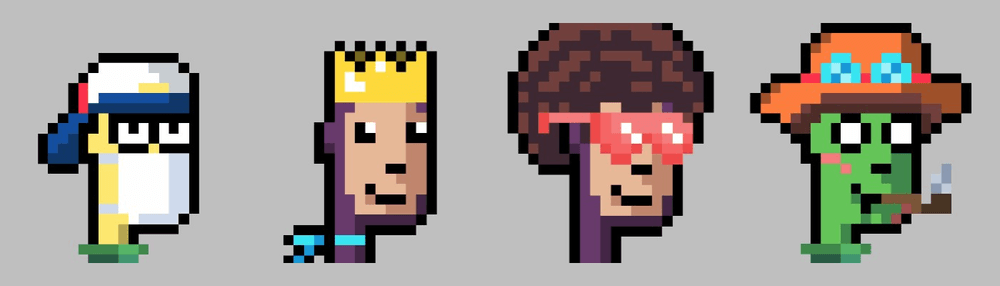 Punk Degenz