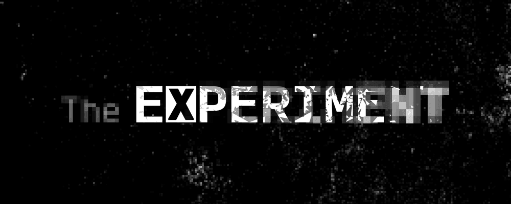 [ THE EXPERIMENT ]