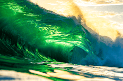 This Is Water