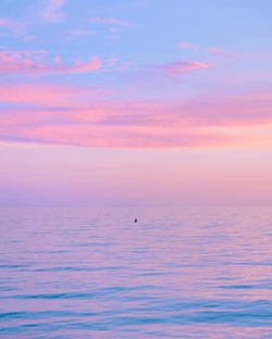 Pastel Papi - Charity Open Edition - Sunsets in Paradise