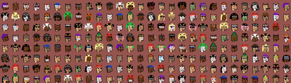 CryptoCatPunks by StudioModuler