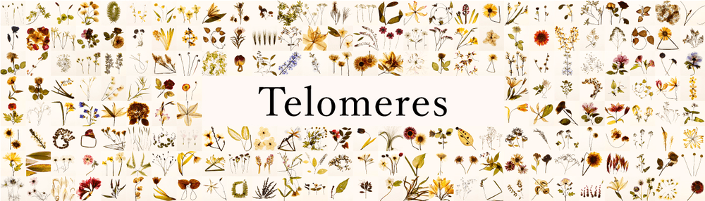 Telomeres