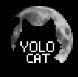 YOLO  Cat  Club