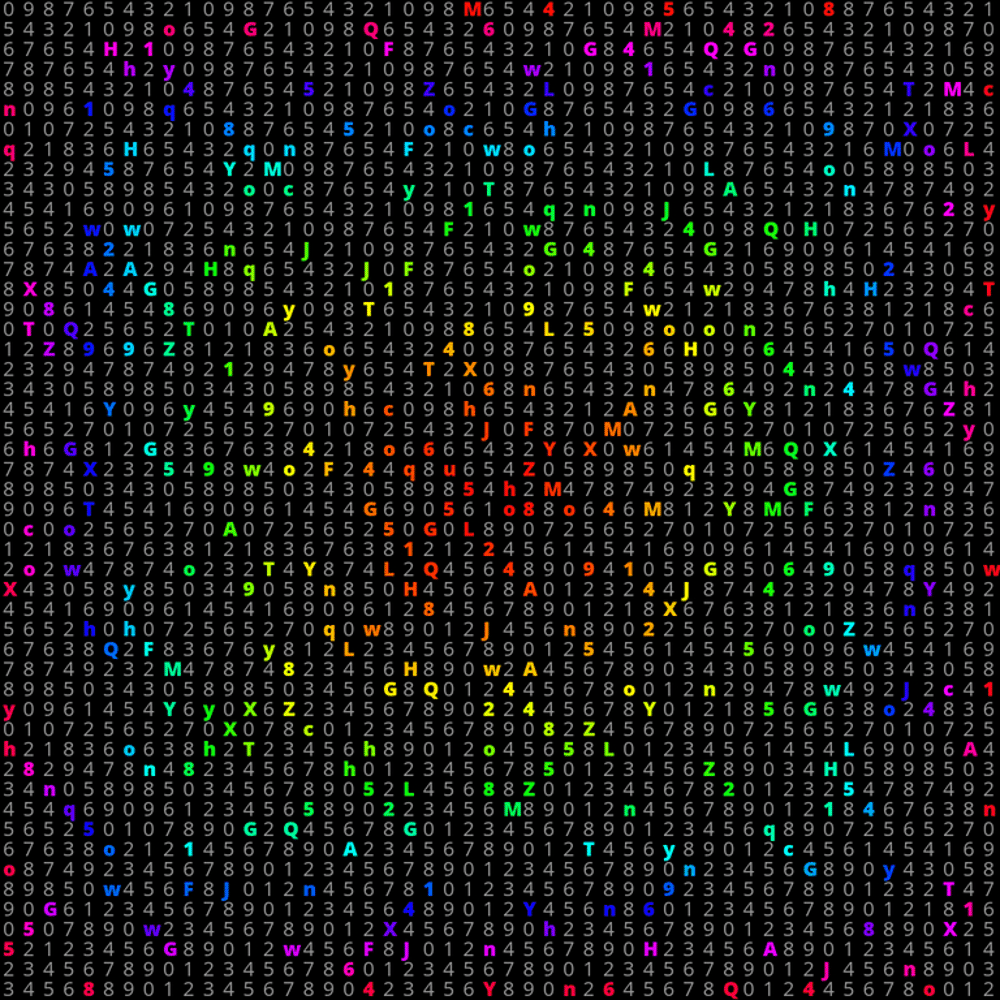 The Neon Codes