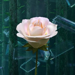 Eternal Roses