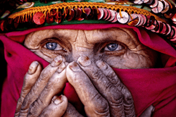 Award-winning photos V3