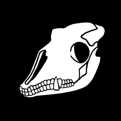 LlamaYo
