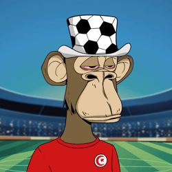 World Cup Yacht Club Official