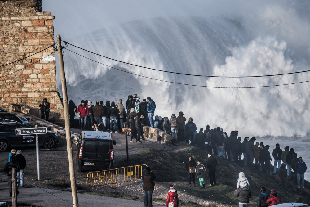 The Big Wave Collection