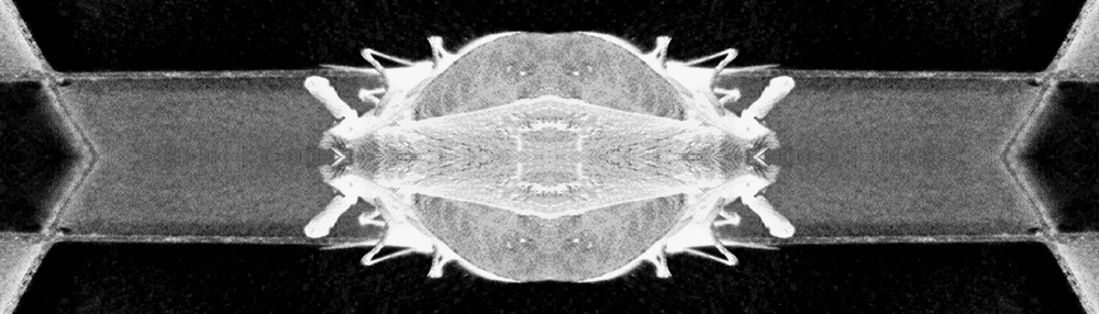 glitchbug