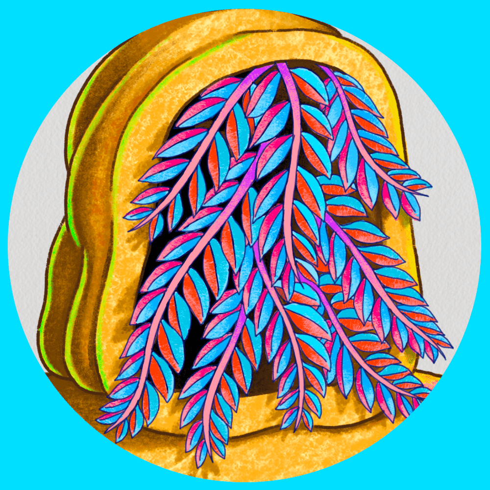 Token Image