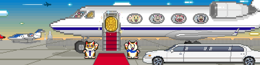 Flower Jet Coin