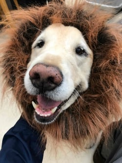 MooseTest