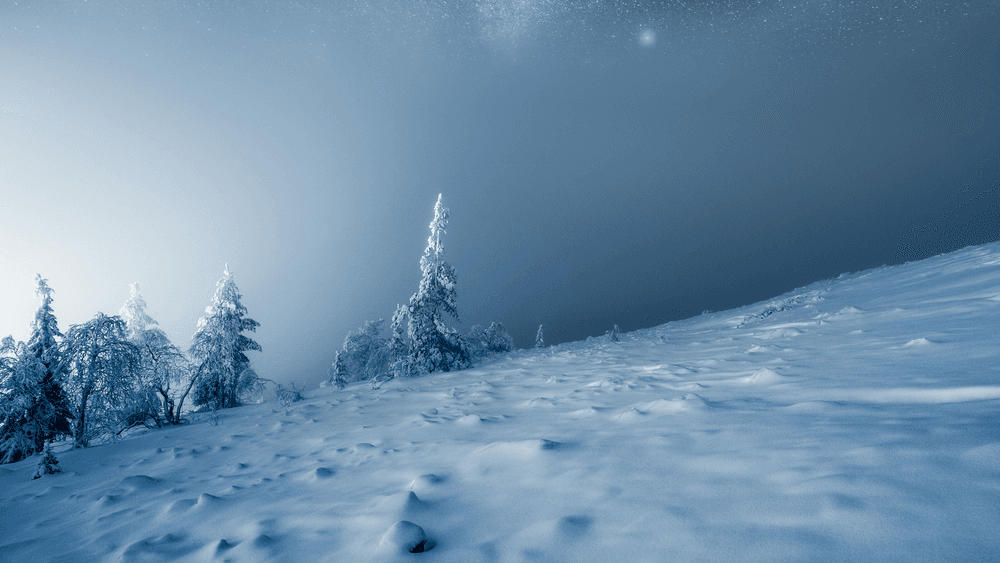 RESILIENCE by Mikko Lagerstedt