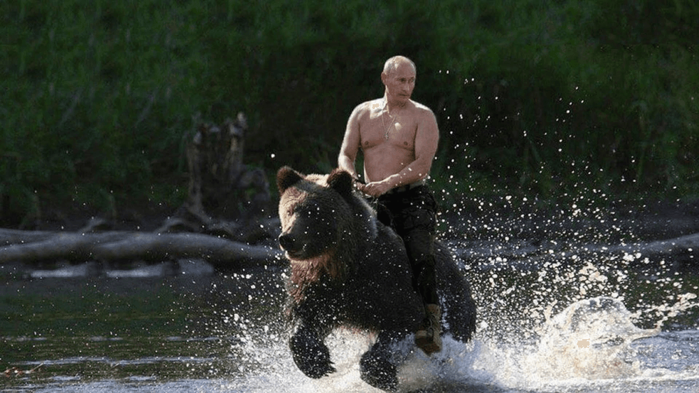 Putin Digital Trading Cards