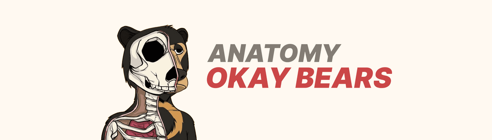 Anatomy Okay Bears