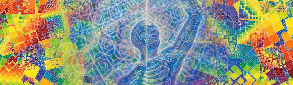 Gems of Awareness by Alex Grey & Allyson Grey