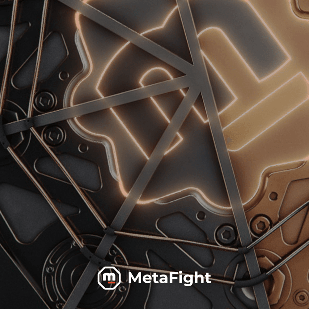 MetaFight Pass