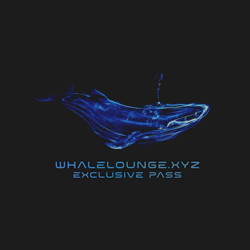 Whale Lounge Founder