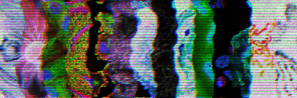 Boguswtf