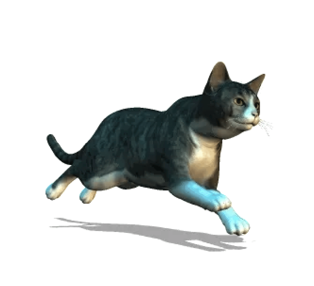 meowMEOWmeowCAT