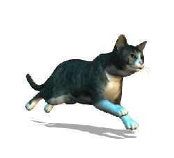 meowMEOWmeowCAT