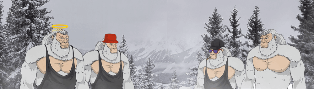Bored Yeti By EVCoin