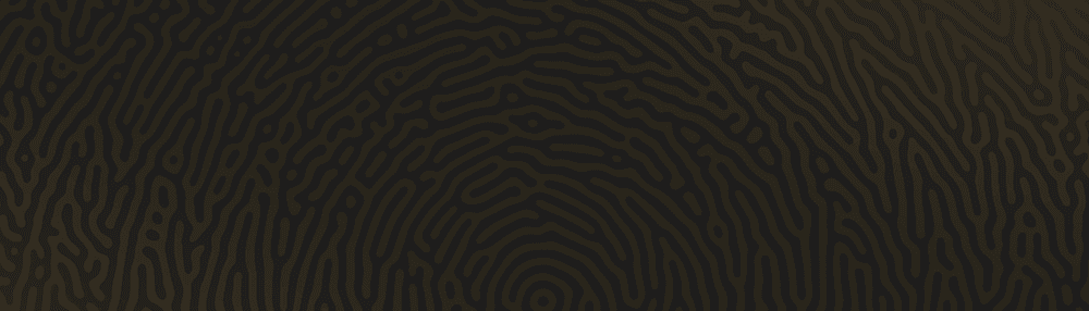Maze Collective Membership