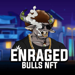 EnragedBulls NFT