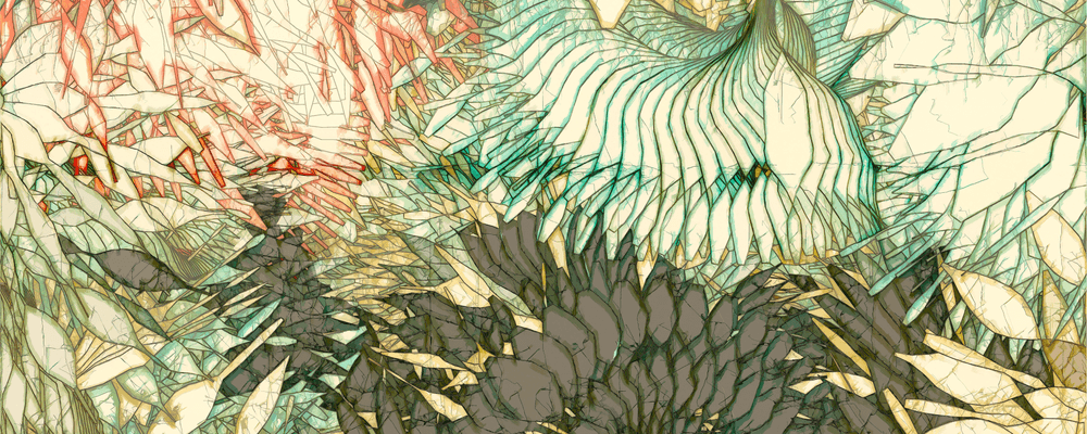 Jinyao Yaolin - Blooming